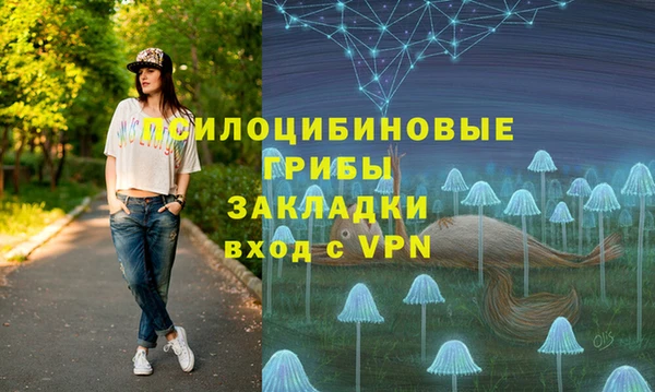 ПСИЛОЦИБИНОВЫЕ ГРИБЫ Абинск