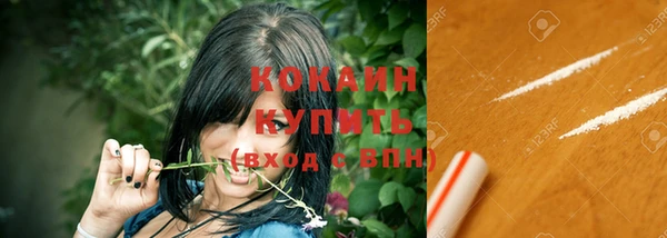 гашик Покровск