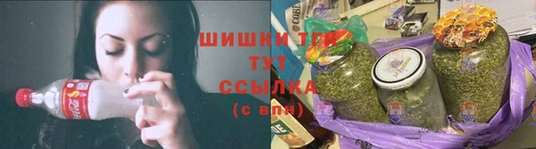 гашик Покровск