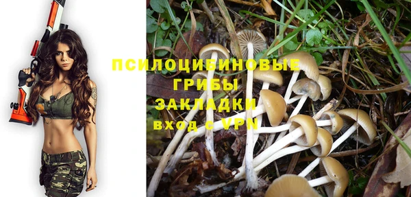прущие грибы Протвино