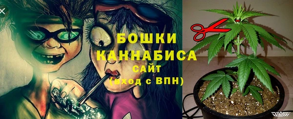 гашик Покровск