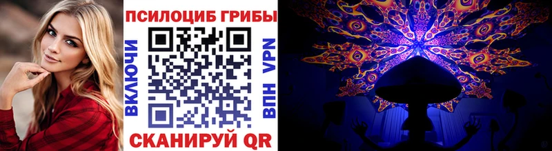 Псилоцибиновые грибы прущие грибы  наркотики  Нерчинск 